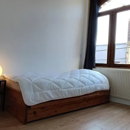 Tok Tok Maison Proche Toutes Commodités Lille Сasa de vacaciones